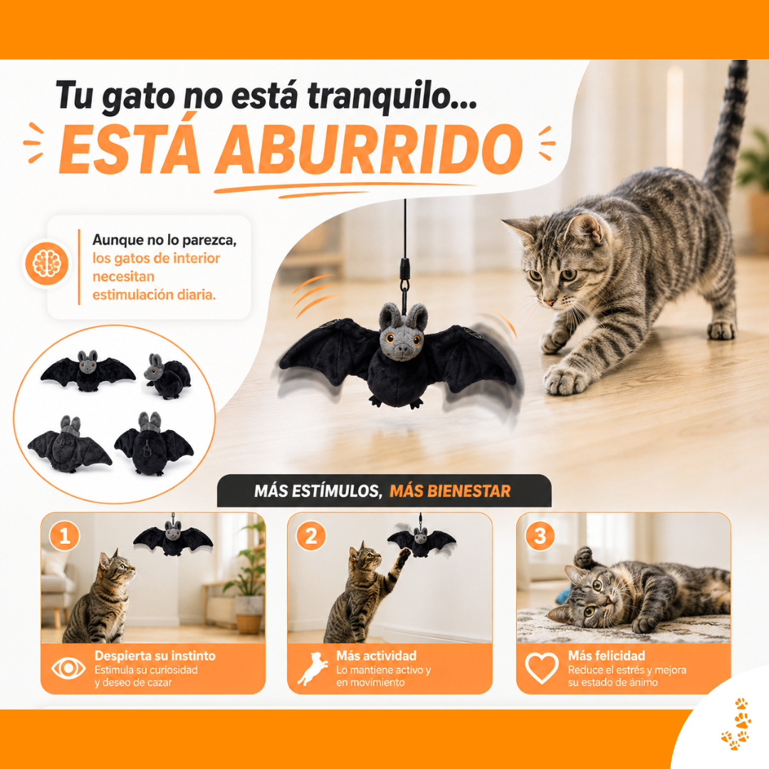 🦇 Interactive Flying Bat Cat Toy