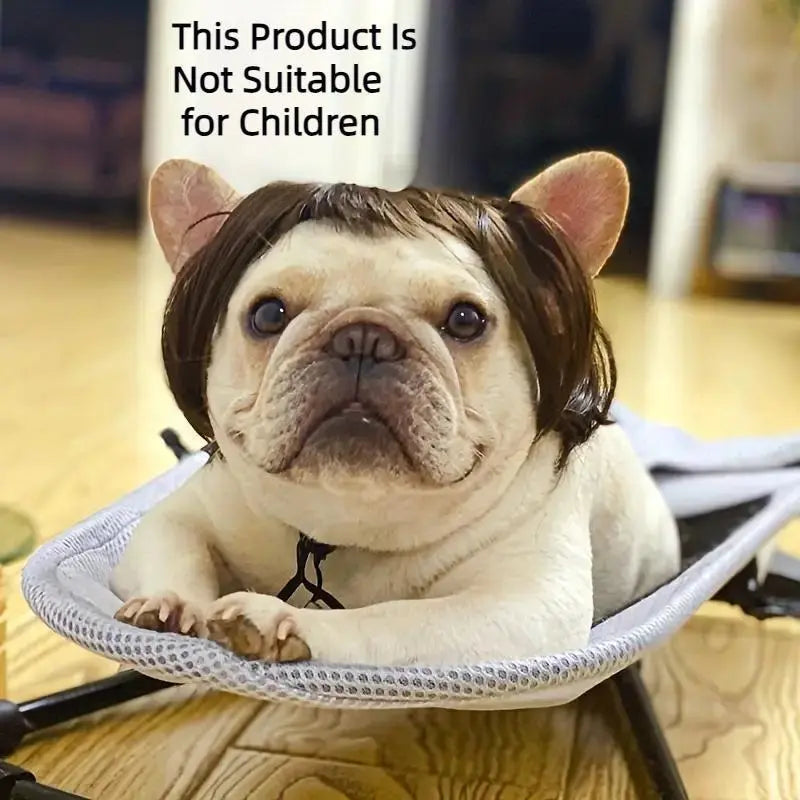Cute Short Hair Pet Wig Headband