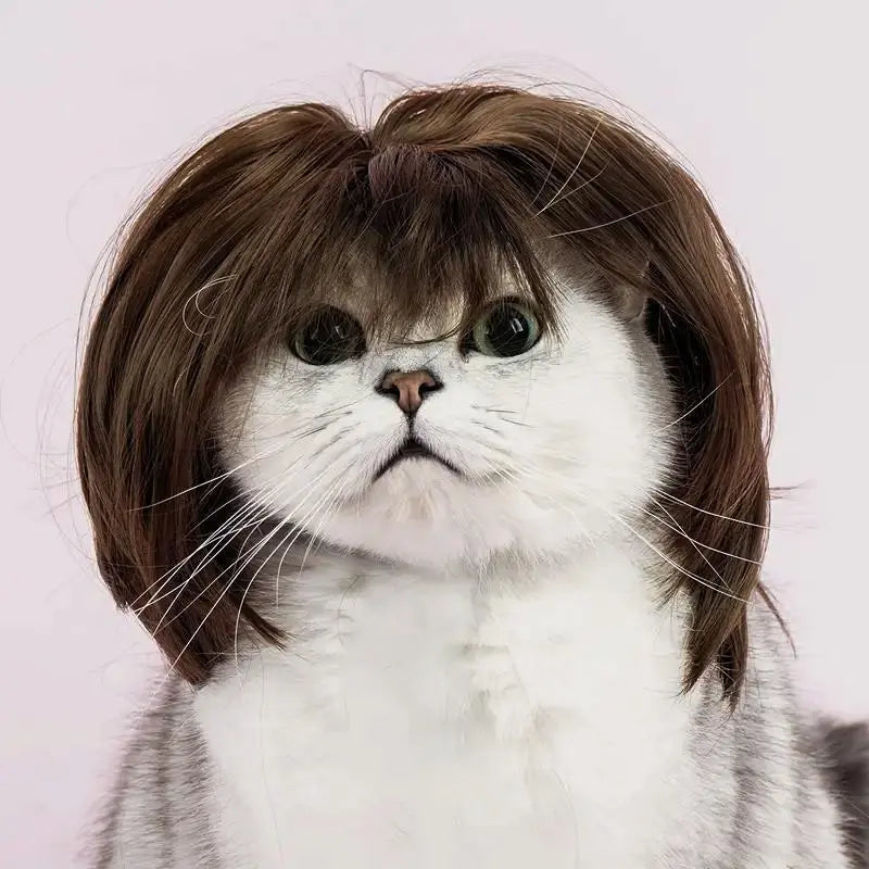Cute Short Hair Pet Wig Headband