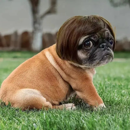 Cute Short Hair Pet Wig Headband
