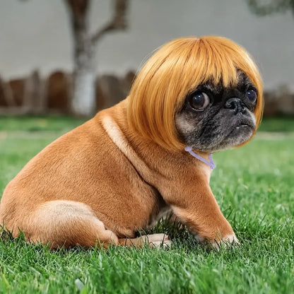 Cute Short Hair Pet Wig Headband