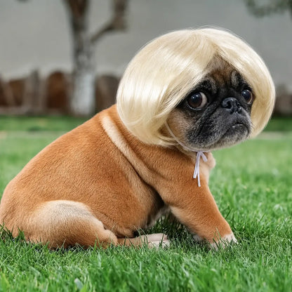 Cute Short Hair Pet Wig Headband