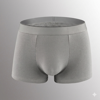 father-s-day-gift-summer-essential-men-s-dual-pouch-ice-silk-trunks-4pcs-2551