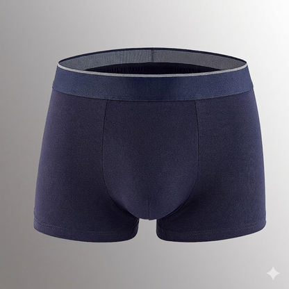 father-s-day-gift-summer-essential-men-s-dual-pouch-ice-silk-trunks-4pcs-2551