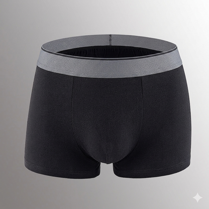father-s-day-gift-summer-essential-men-s-dual-pouch-ice-silk-trunks-4pcs-2551